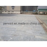 Europe/Africa/Middle East High Polymer Cement Waterproof Coating